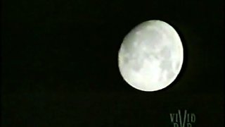 Secretary group sex hardcore fucking blond girl facia