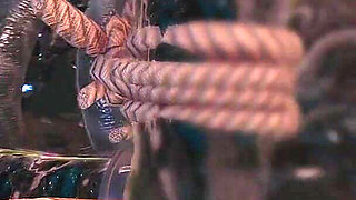 B025 Asian Beauty Tentacbondage Slave Face Sitting, Farting, Anal Licking