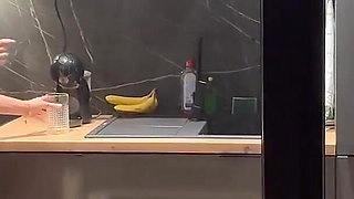 Perverted Voyeur Fucks Teen in the Kitchen!