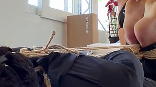 Latina Finds Every Tickling Spot on Her Sub While He Is in a Strict Hogtie