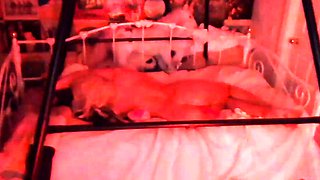 Amateur Hidden Cam