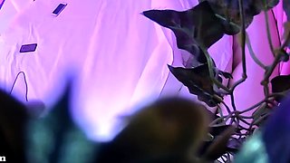 Amateur Hidden Cam with Dildo Wives