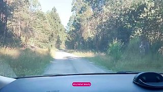 Desi Stepmom's Big Natural Tits Pressed in Car - StepSon Unzips Bra on Public Road Trip