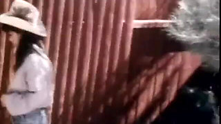 Classic Porn Dvds: Weekend Cowgirl: Part 3