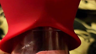 I Got Lots of Toys Another Sucking Licking Toy to Try