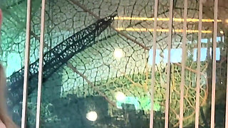 Gael & Pam Vlog: on the Way to Xbiz in Amsterdam