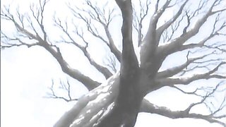 Fuck Me Like A Monster featuring queen bee's fuckmelikeamonster action