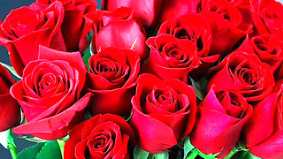 bangla choti golpo full story in  audio choto golpo beautiful mature saree chachi cheating hasband full story in Bangla audio sy