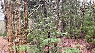 Pussy Pissing Water on the Rock