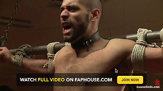 The reunion - live shoot