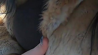 Cheating Wife Goes Fur-coat Shopping with Her Husband's Friend. She Will Suck His Cock Out-door 221