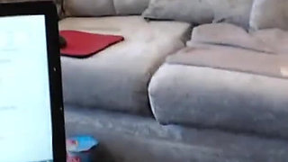 Ass whipped cream squirting lick it up !!