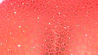 Sandra Star Compilation with Her Best Lingerie, Nasty Booty, Missionary Creampie, Good for Riding