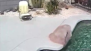The Pool Guy Fucks Hard Blondie Housewife