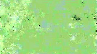 LL-195 Sisters boxing