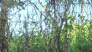 Risky Handjob for a Hot Babe in the Park!
