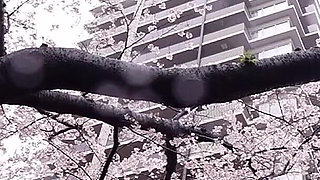 Konatsu - Cute Girl Specialists! the Long-sought-after Girl Is Captured on Video!