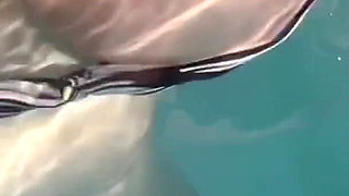 Artemisia Love Flashing Her Juicy Big Tits at the Pool