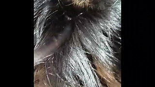 Fucking My Girl friend Doggy style