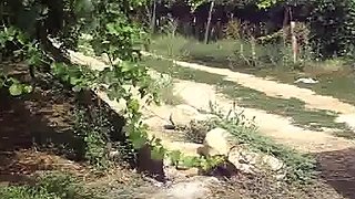 Sesso all'aperto con una puttana italiana amatoriale