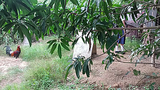 INNOCENT SCHOOLGIRL TRIES TO SEDUCE MENACING PROFFESOR INTO SEX