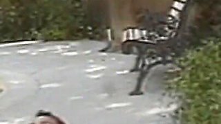 Sexy Secretary in Lingerie Sucks Big Cock in the Office