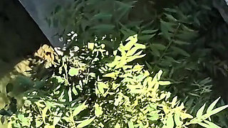 A Fragment of a Video of Fun Under the Bridge