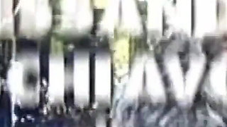 The Sexy Boss of the Mafia