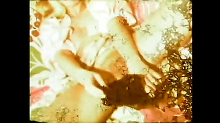 "Our origin xxx... - Vol. 14