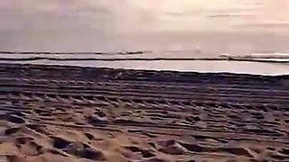 Austin Reign Beach Public Blowjob Premium Snapchat Video