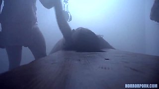 Horror Porn 6 Twisted desires