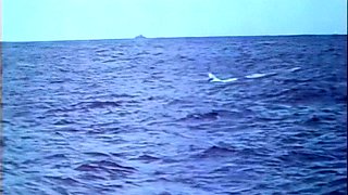 College Amateur Girls Throw Group Sex Party