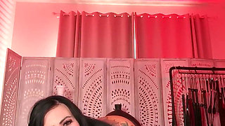 Lily Lane's Favorite Toy