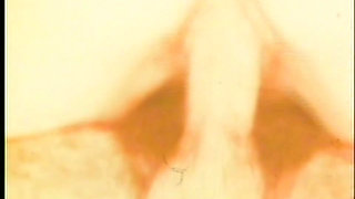 Lesbians threesome pussy licking vintage pussy fucking