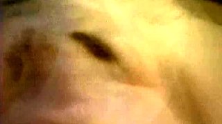 amateur blowjob and facial cumshot all over her glasses