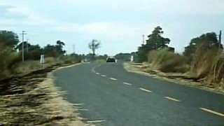 Classic Porn Dvd: Marilyn Chambers Insatiable P