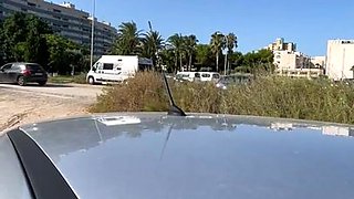 Amateur Pornstar With Big Dick Car Heat