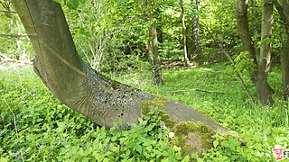 Threesome In Nature's Anal Alternative