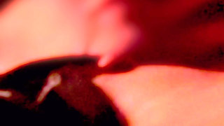 15 Minutes of Cunnilingus