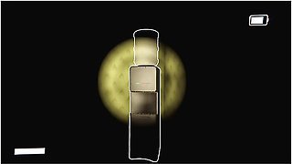 Car Toon In The Incident Of Containment Breach Scp 1471