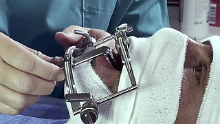 Mistress April's Sadistic BDSM Compilation: CBT, Piercing & Discipline